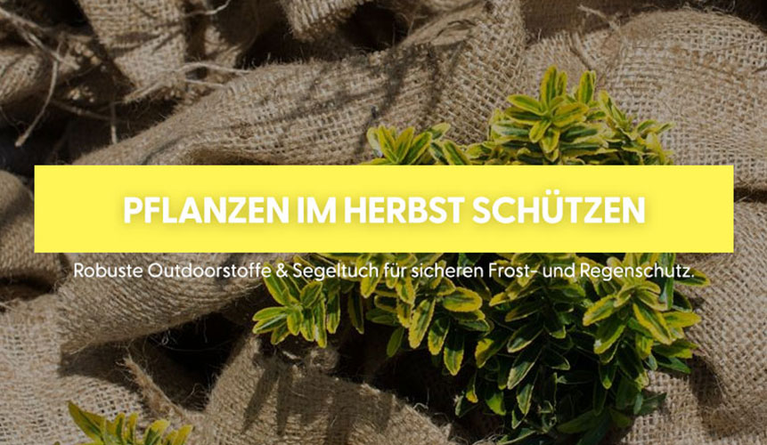 Pflanzenschutz im Herbst