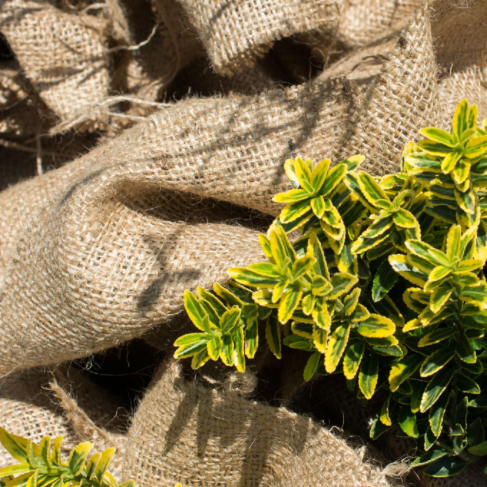 Frostschutz für Pflanzen & Gartenmöbel