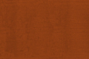 Terra