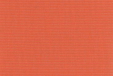 Orange/Apricot