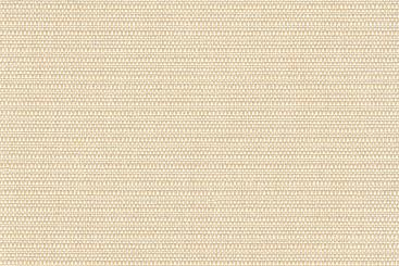 Champagner/Creme