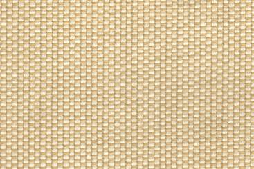 Creme/Champagner