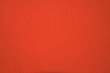 Rot
