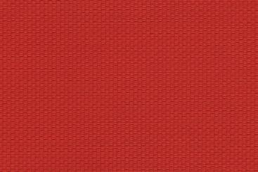 Rot