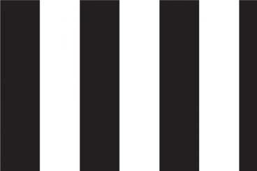 Planengewebe leicht - Blockstreifen 6cm Schwarz