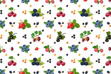 Outdoorstoff - Garten-Beeren Weiß