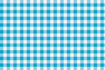 Outdoor Stoff - Teflon - Vichy Karo Weiß/Türkis