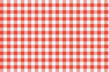 Outdoor Stoff - Teflon - Vichy Karo Weiß/Rot