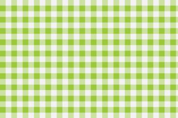 Outdoor Stoff - Teflon - Vichy Karo Weiß/Hellgrün