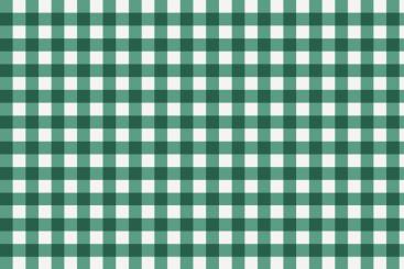Outdoor Stoff - Teflon - Vichy Karo Weiß/Tannengruen