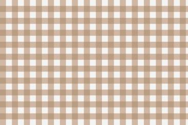 Outdoor Stoff - Teflon - Vichy Karo Weiß/Beige