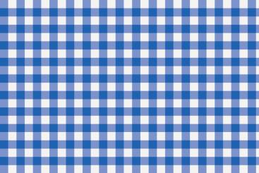 Outdoor Stoff - Teflon - Vichy Karo Weiß/Royalblau