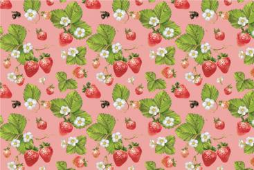 Outdoorstoff - Erdbeeren Rosa