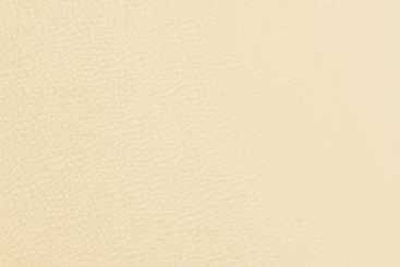 Kunstleder - Deluxe Champagner