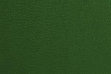 Kunstleder - Deluxe Grün