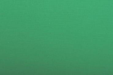Baumwollstoff 280 cm breit Green Screen