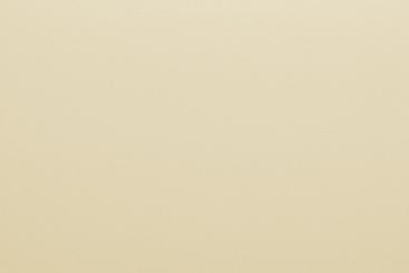 Polyester-Stoff - reißfest und wasserabweisend Champagner