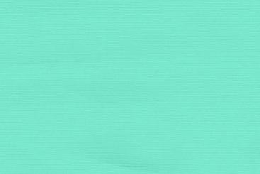 Segeltuch Canvas Mint