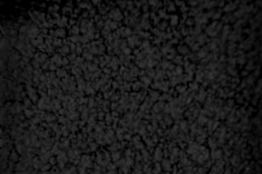 Baby-Frottee-Stoff Schwarz