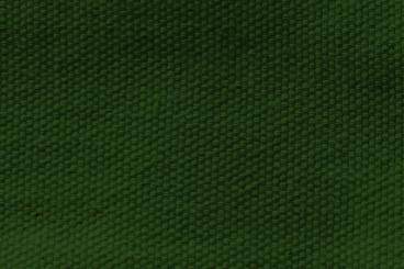 Premium-Canvas-Stoff - 295 cm Grün