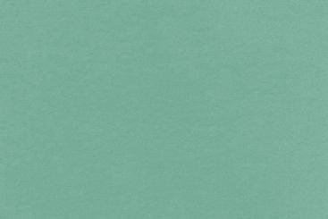 Türvorhangstoff Arktis Mint