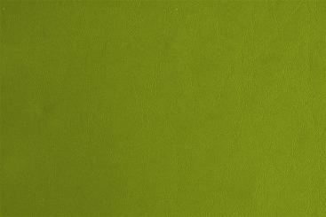 Elefantenleder Imitat - Premium Hellgrün
