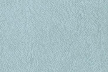 skai® Sotega - Dickleder-Imitat Mint