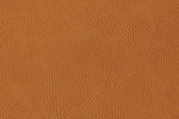 skai® Sotega - Dickleder-Imitat Terra