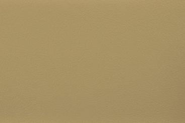 Outdoor-Lederimitat Premium Beige