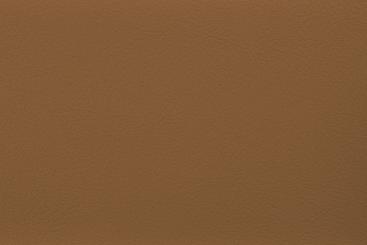 Outdoor-Lederimitat Premium Hellbraun