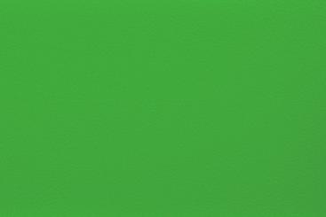 Outdoor-Lederimitat Premium Hellgrün