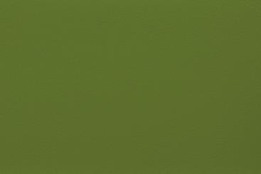 Outdoor-Lederimitat Premium Grün