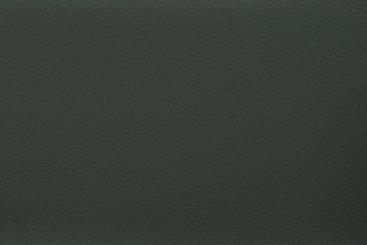 Outdoor-Lederimitat Premium Anthrazit