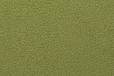 Boots-Kunstleder Ocean - IMO Pistazie