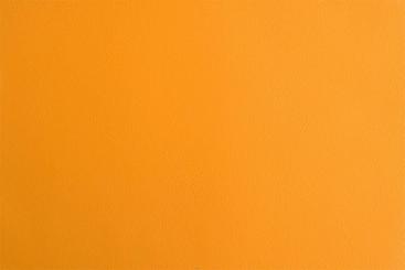 Nappaleder Imitat - Saniproofed Cognac