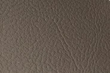 Outdoor-Lederimitat Waldbraun