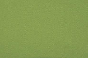 Allround Segeltuch - 280 cm Lindgrün