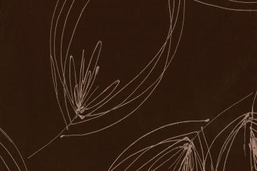 Markise Spain Summer - Modern Dunkelbraun/Creme