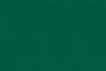 PVC-Folie 400 g - glänzend - 218 cm Grün