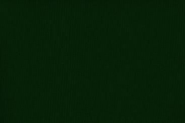 Allroundstoff - wasserdicht Tanne