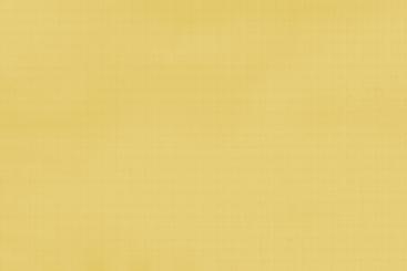 Spinnaker-Segeltuch 75 - Contender - 150 cm breit Gold