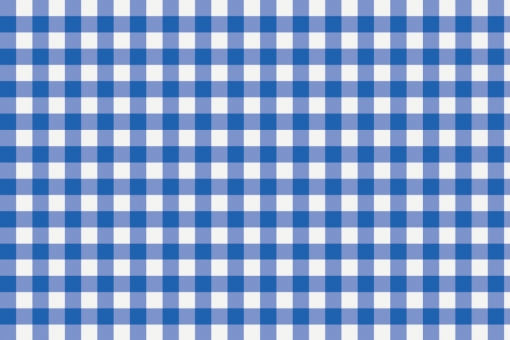 Outdoor Stoff - Teflon - Vichy Karo Weiß/Royalblau