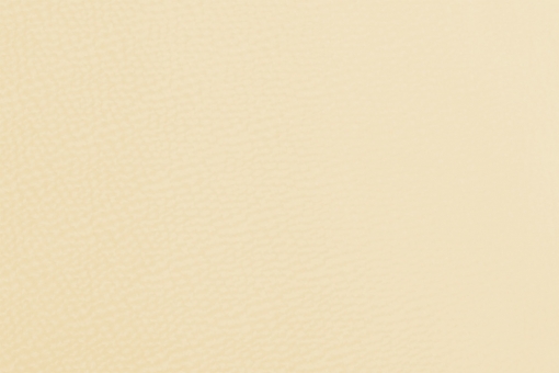 Kunstleder - Deluxe Champagner