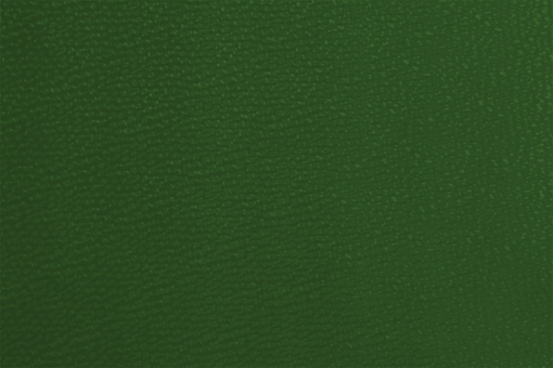 Kunstleder - Deluxe Grün