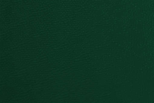 Kunstleder - Deluxe Tanne