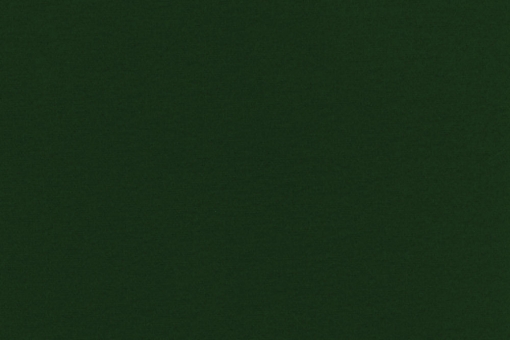 Türvorhangstoff Arktis Tanne