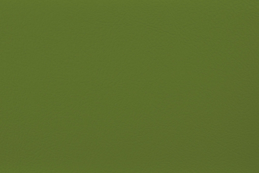 Bezugs-Lederimitat Maritimo - permanent schwer entflammbar Grün