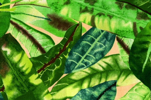 Markise Spain Sommer - Tropic 