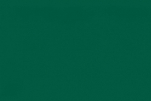 PVC-Folie 400 g - glänzend - 218 cm Grün