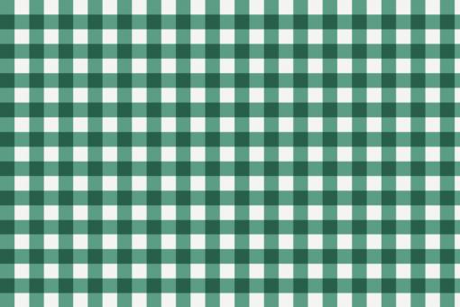 Outdoor Stoff - Teflon - Vichy Karo Weiß/Tannengruen